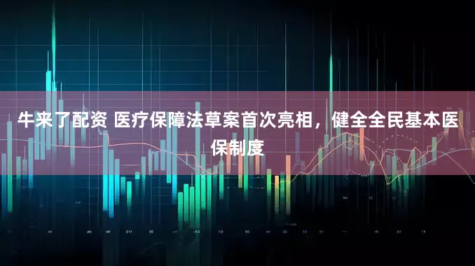 牛来了配资 医疗保障法草案首次亮相，健全全民基本医保制度