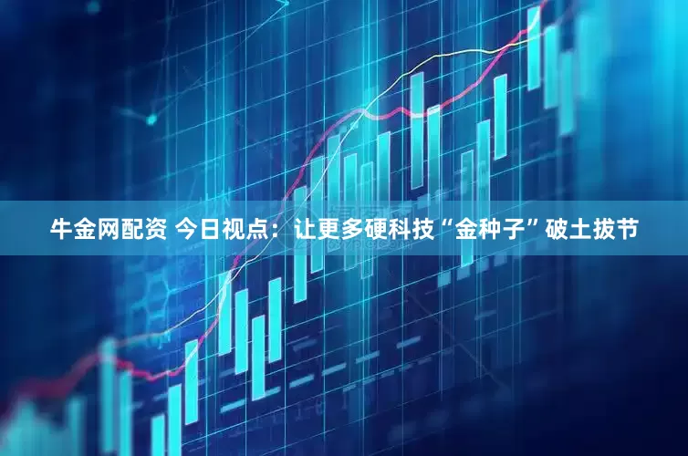 牛金网配资 今日视点：让更多硬科技“金种子”破土拔节