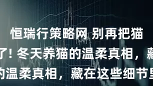 恒瑞行策略网 别再把猫裹成粽子了! 冬天养猫的温柔真相，藏在这些细节里